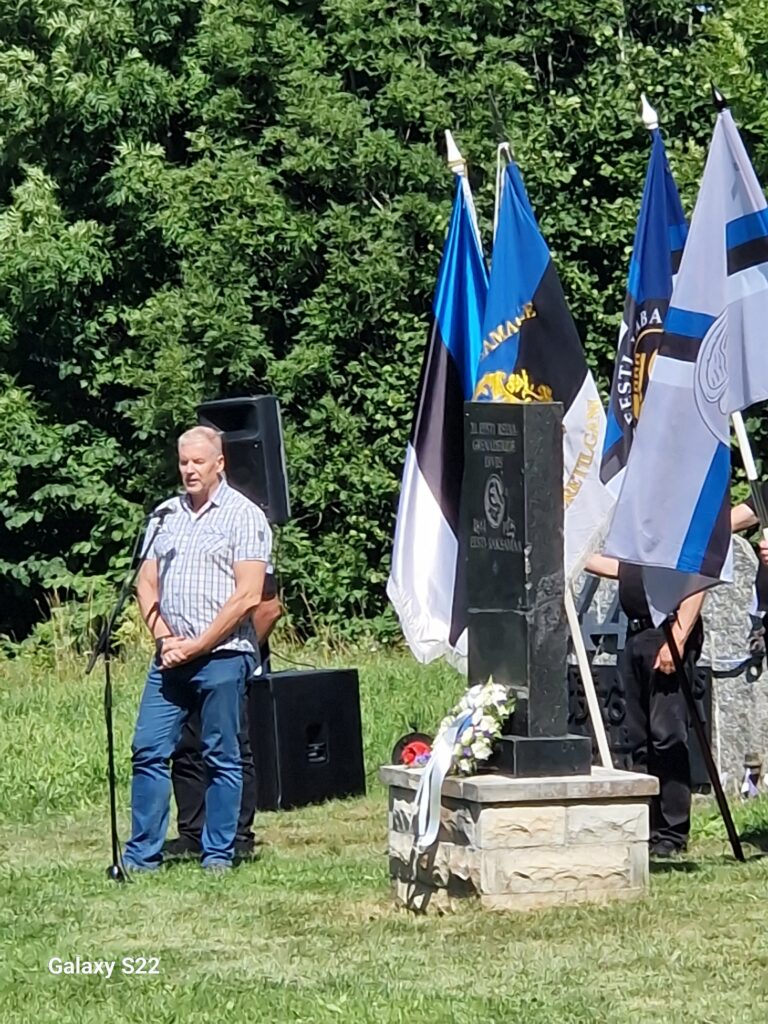 Sinimägede sõnum